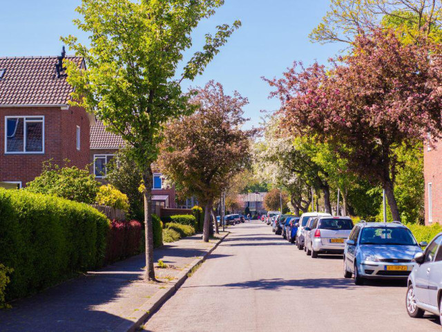 Deze foto is gemaakt in een straat in Selwerd. De foto geeft een zomerse sfeer door de bomen die groen/roze gekleurd zijn. Aan de linkerkant zien we huizen en aan de rechterkant geparkeerde auto's. 